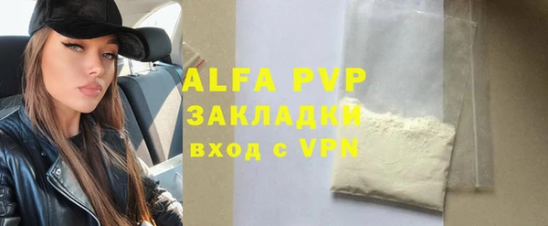 амф Каменка