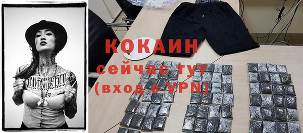 ГАЛЛЮЦИНОГЕННЫЕ ГРИБЫ Касимов