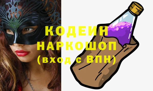 хмурый Кодинск