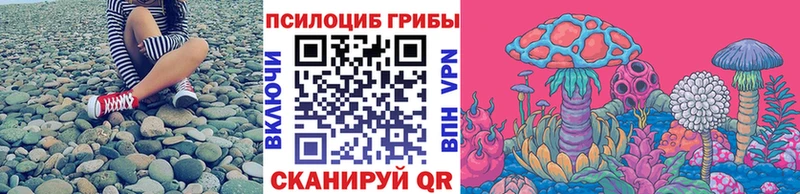 как найти   Кириллов  Псилоцибиновые грибы Cubensis 
